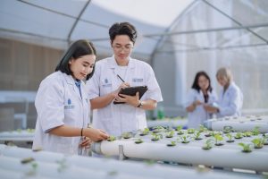 Read more about the article S2 ILMU PANGAN : BIAYA KULIAH TERJANGKAU DAN BISA CICIL, WAKTU KULIAH BISA DIPILIH & TERSEDIA BEASISWA